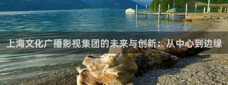 98影院免费：上海文化广播影视集团的未来与创新：从中心到边缘