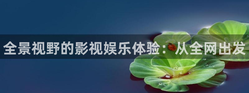 98电影网：全景视野的影视娱乐体验：从全网出发