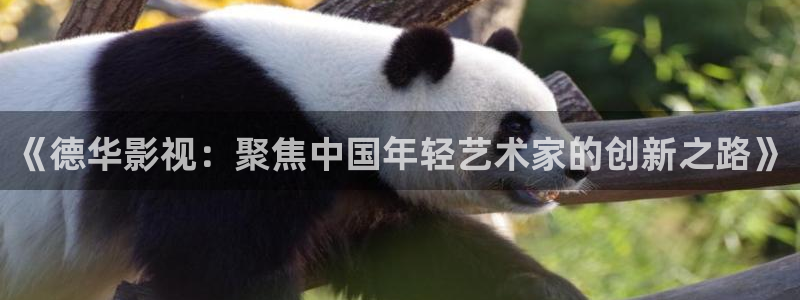 798影院在线观看免费版电视剧：《德华影视：聚焦中国年轻艺术家的创新之路》
