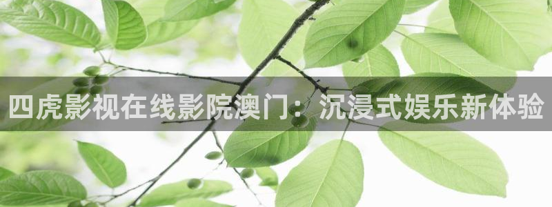 请回答1988高清在线观看：四虎影视在线影院澳门：沉浸式娱乐新体验
