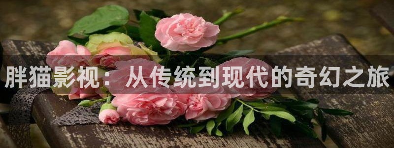119827.com神秘电影：胖猫影视：从传统到现代的奇幻之旅