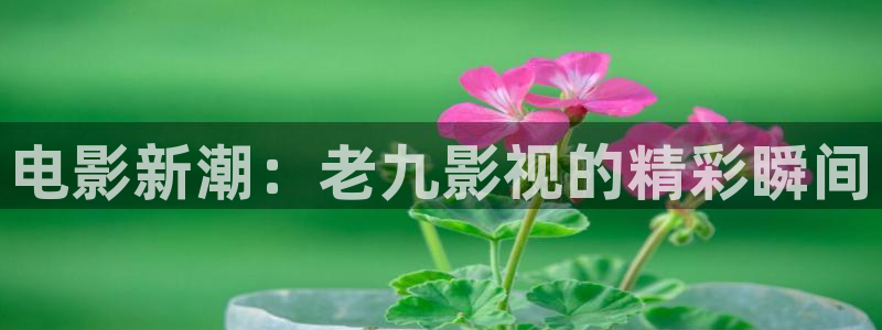 请回答1988全集在线免费观看：电影新潮：老九影视的精彩瞬间