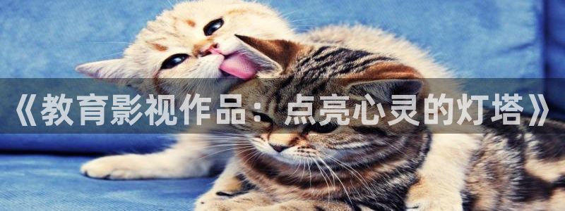 98影院在线观看免费播放电视剧大全97：《教育影视作品：点亮心灵的灯塔》
