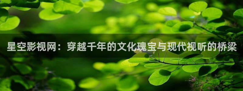 98在线免费观看：星空影视网：穿越千年的文化瑰宝与现代视听的桥梁